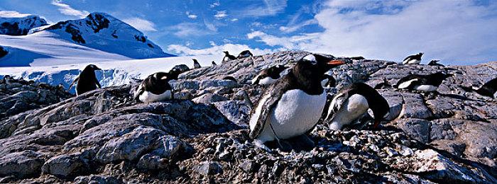 妖尾独立游戏企划第二弹：《爆裂沙滩排球》公布